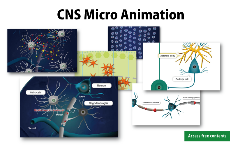 CNS Micro Animation