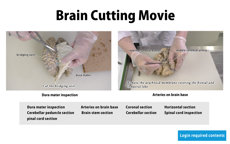 brain cutting movie