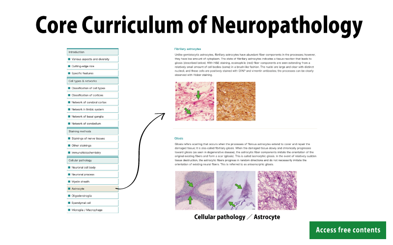 Core curriculum of Neuropathology