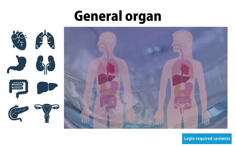 General organ