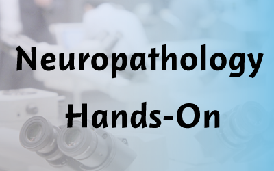 Neuropathology Hands-On