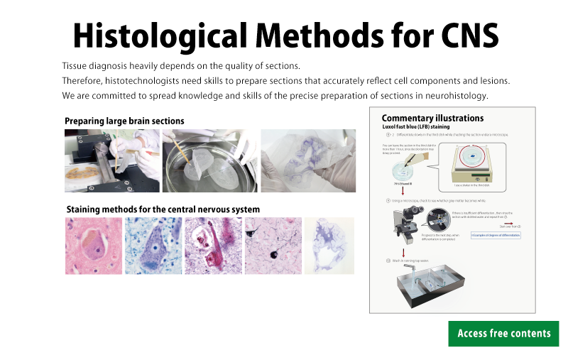 Histological methods for CNS