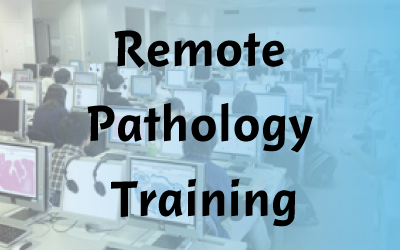 Remote Pathology Training