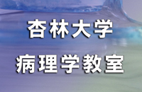 杏林大学病理学教室