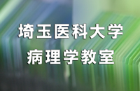 埼玉医科大学 病理学教室