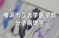 横浜市立大学 医学部分子病理学