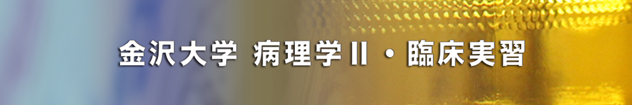 kanazawa