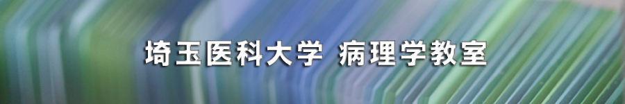 saitama